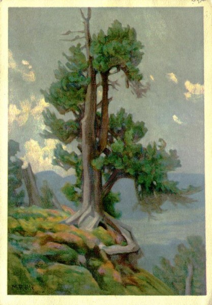Arve mit Heidekraut, Marie Rolle Vorderseite