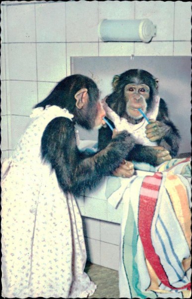 Affe beim Zähneputzen Vorderseite