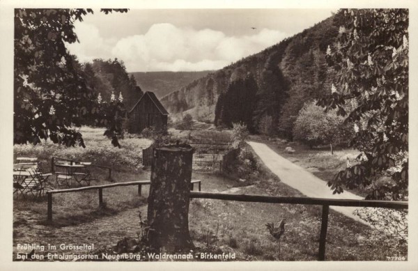 Neuenbürg