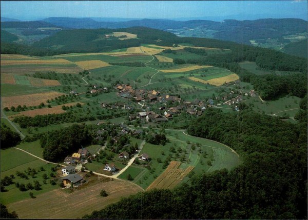 Wittinsburg, Flugaufnahme Vorderseite