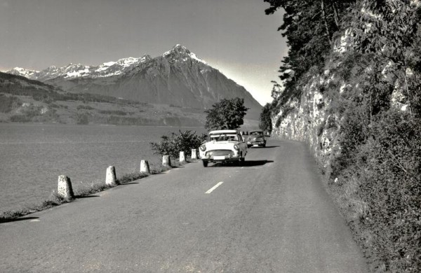 Thunersee-Strasse mit Niesen Vorderseite