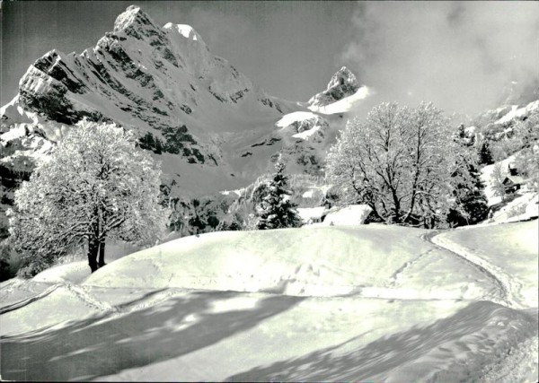 Braunwald  Vorderseite