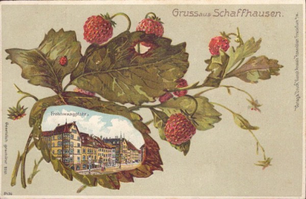 Gruss aus Schaffhausen! - Litho