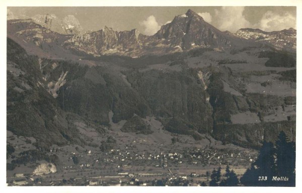 Mollis Vorderseite