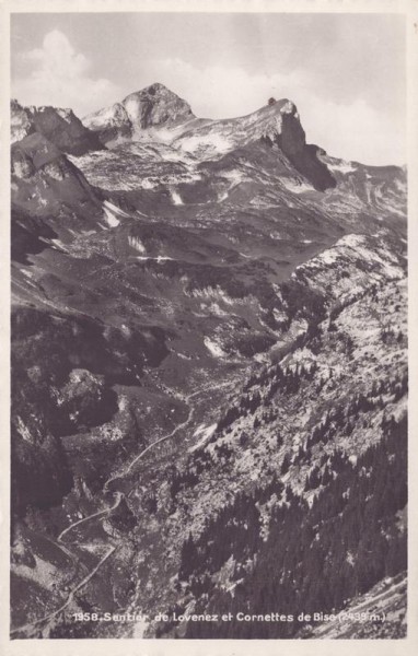 Sentier de Lovenez et Cornettes de Bise (2439 M) Vorderseite