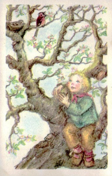 Junge auf dem Baum Vorderseite