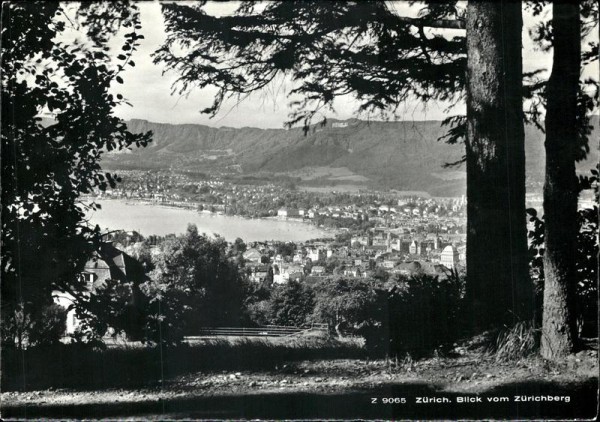 Blick vom Zürichberg (Zürich) Vorderseite