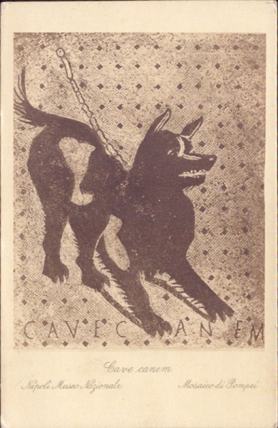 Cave Canem