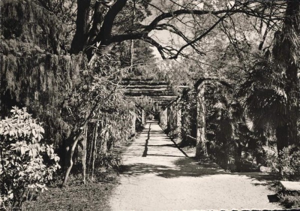 Isole di Brissago. Parco Botanico Vorderseite