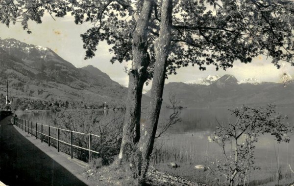 Seepromenade Sachseln - Sarnen Vorderseite