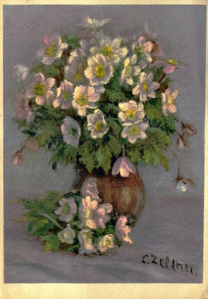 Busch-Windröschen Vorderseite