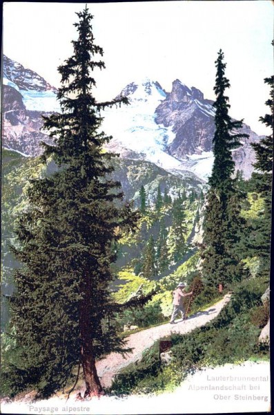 Lauterbrunnen Alpenlandschaft bei Ober Steinberg Vorderseite