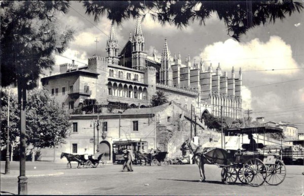 Palma Vorderseite