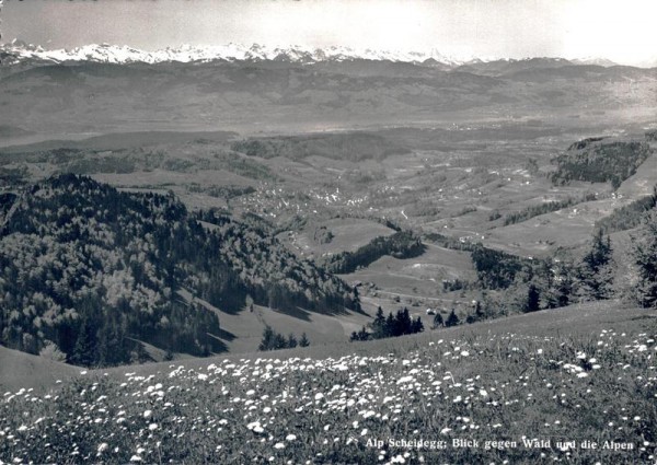 Alp Scheidegg; Blick gegen Wald und die Alpen Vorderseite