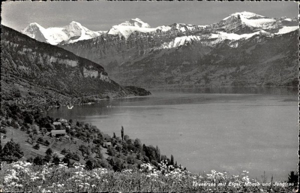 Thunersee mit Eiger , Mönch und Jungfrau Vorderseite