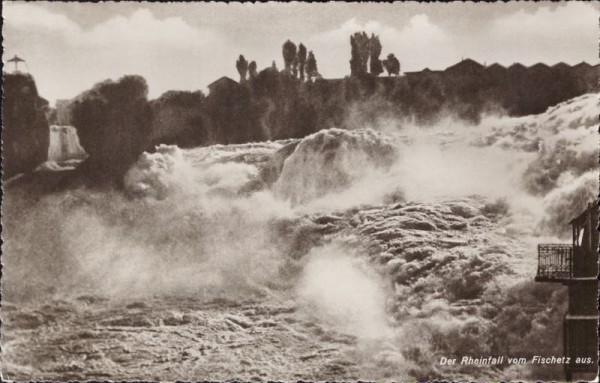 Der Rheinfall vom Fischetz aus.