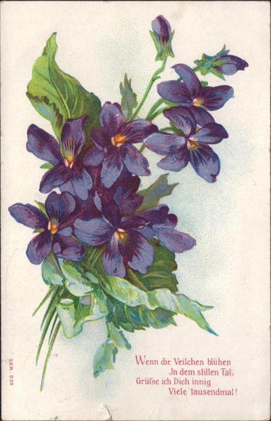Wenn die Veilchen blühen... Vorderseite