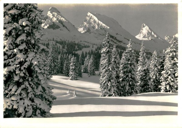 Skigelände bei Unterwasser mit Churfirsten Vorderseite