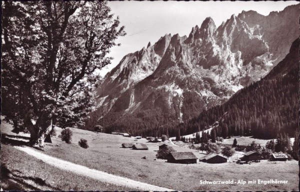 Schwarzwald - Alp mit Engelhörner