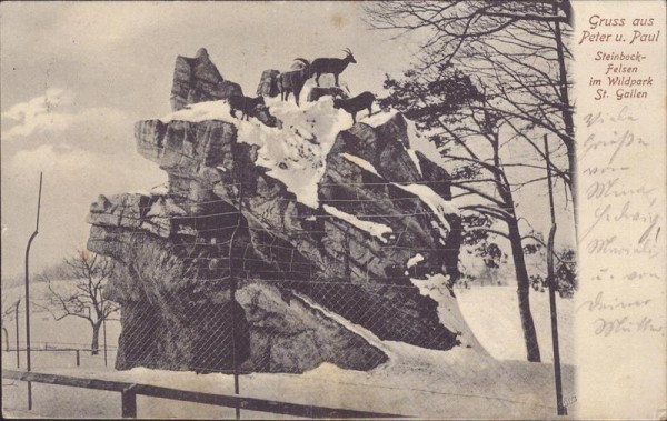 Steinbockfelsen im Wildpark St. Gallen Vorderseite