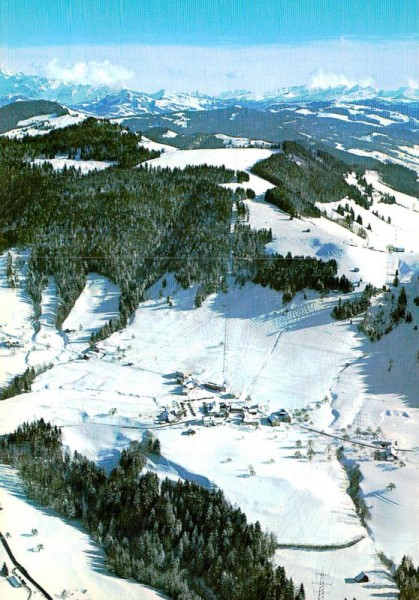 Oberholz - Wald  -  Flugaufnahmen Vorderseite