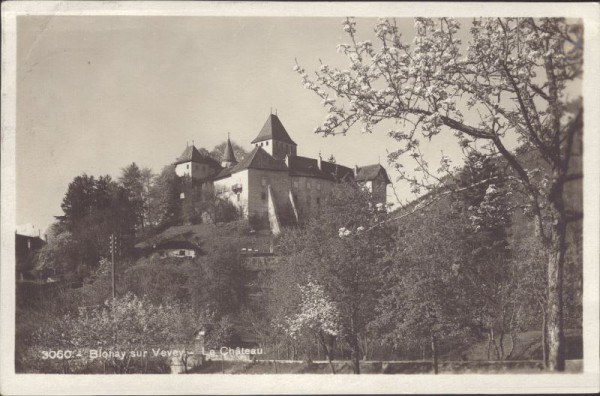 Blonay sur Vevey - La Château