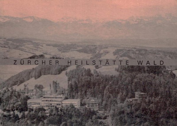 Faltiberg Zürcher Heilstätte, Wald ZH - Flugaufnahmen Vorderseite