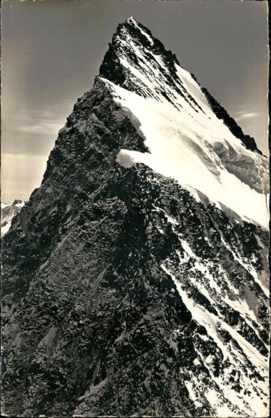 Agassizhorn Vorderseite