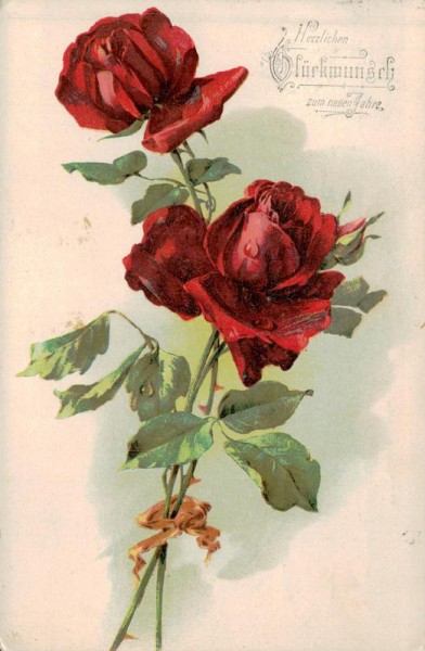 Herzlichen Glückwunsch zum neuen Jahre Vorderseite