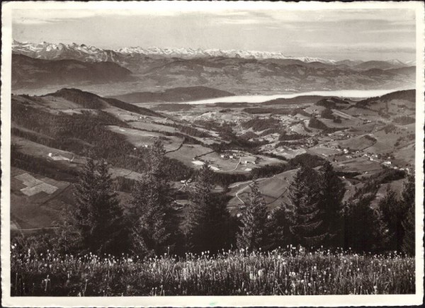 Blick von der "Kreuzegg" (Togg.) auf Zürichsee und Schwyzeralpen