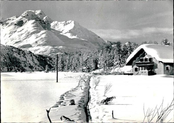Sils im Engadin/Segl Vorderseite