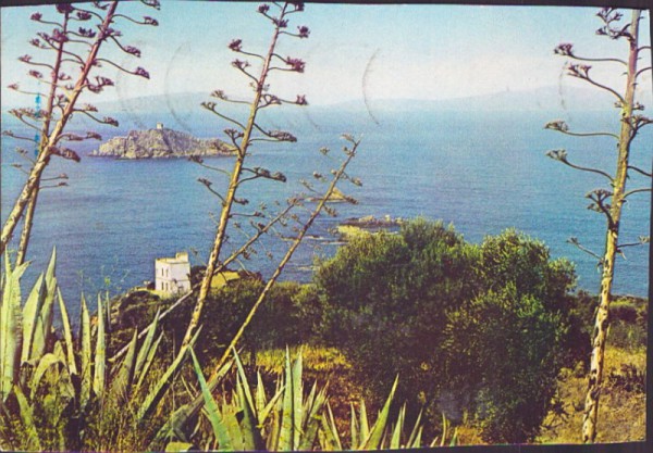 Follonica - Isla dello Sparviero