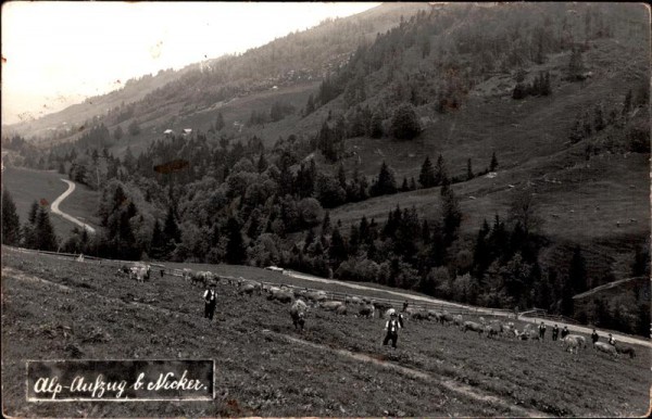 Alp-Aufzug bei Necker Vorderseite