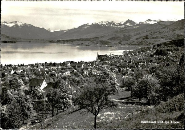 Wädenswil und die Alpen Vorderseite