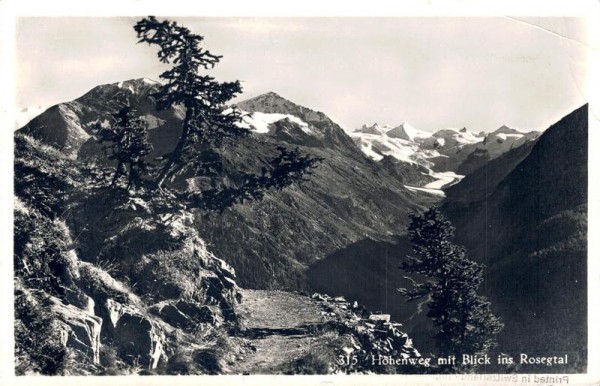 Höhenweg mit Blick ins Rosegtal Vorderseite