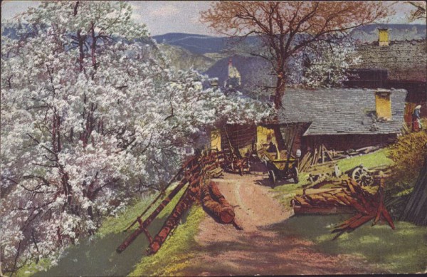 Obstblüte in Südtirol