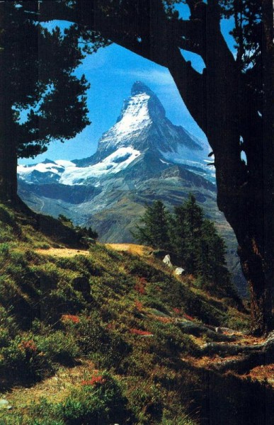 Zermatt. Bergarven auf Rifelalp. Matterhorn Vorderseite