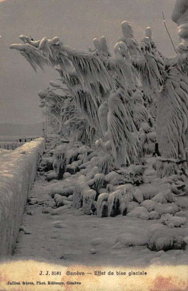 Esset de bise glaciale, Genève Vorderseite