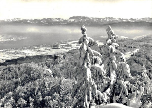Blick vom Uetliberg mit Annaburg auf Zürichsee Vorderseite