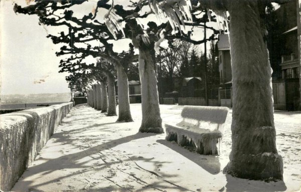 Versoix, Quai sous la glace Vorderseite