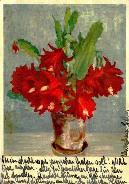 J.R.Scheidenberg, Roter Kaktus Vorderseite