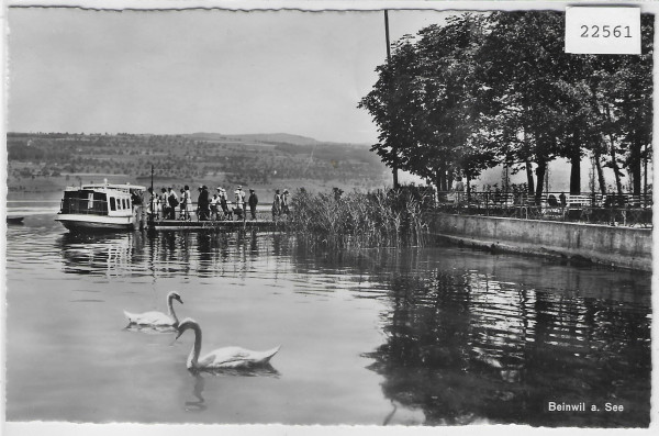 Beinwil am See - Hafen
