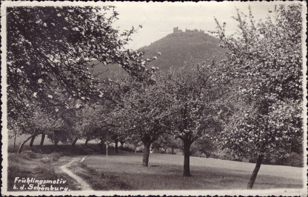 Frühlingsmotiv bei der Schönburg