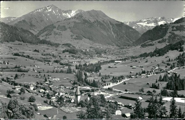 Saanen Vorderseite