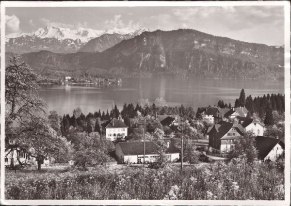 Meggen mit den Alpen