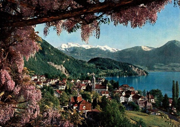 Vitznau am Vierwaldstättersee. Glyzinen-Pergola und Nidwaldener Alpen Vorderseite