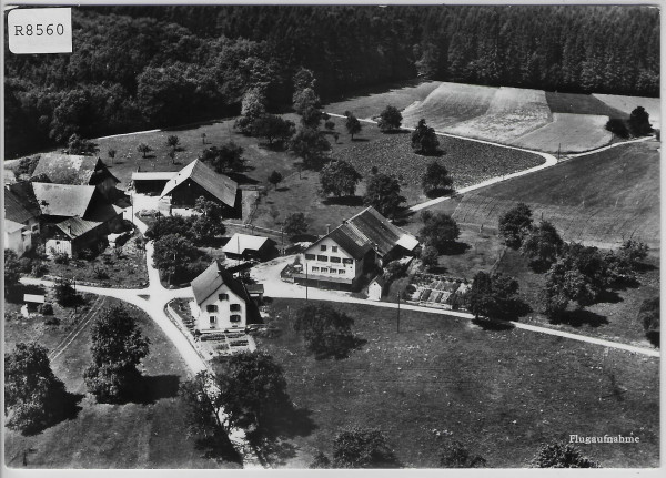 Flugaufnahme Restaurant Heitersberg Spreitenbach AG