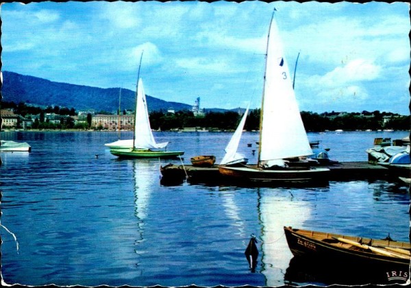 Zürichsee bei Zürich Vorderseite