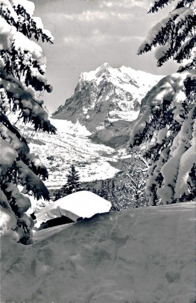 Grindelwald. Wetterhorn Vorderseite