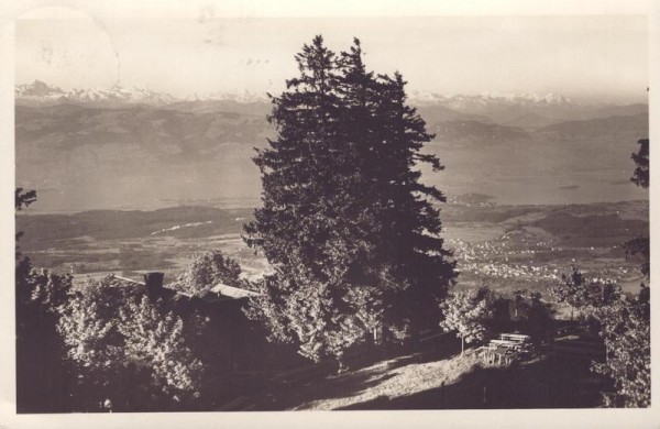Bachtel-Kulm (1119 m), Urner- und Berneralpen Vorderseite